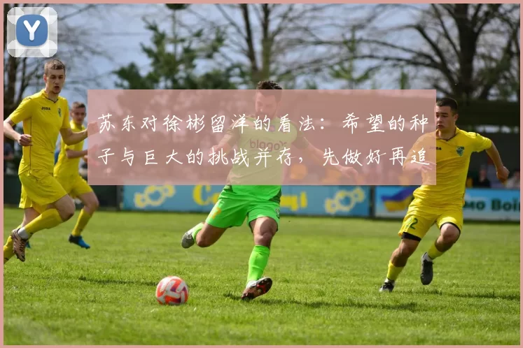 苏东对徐彬留洋的看法：希望的种子与巨大的挑战并存，先做好再追求完美